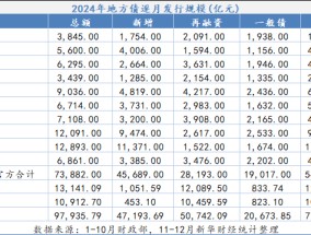 地方债发行创新高 化债路修远且慢行