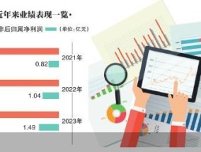 新恒汇IPO“卡壳” 虞仁荣A股第二子空悬