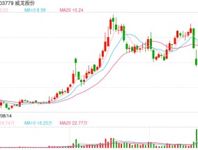 威龙股份实控人涉嫌挪用资金罪被监视居住，公司应加强内部管理