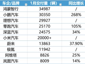 蔚来跟进特斯拉5年0息政策，1月新势力车企座次再一次生变