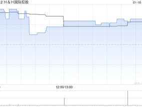 HH国际控股就发行新票据订立购买协议