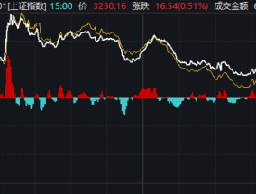 重磅发布会结束后，A股今天的行情才真正开始