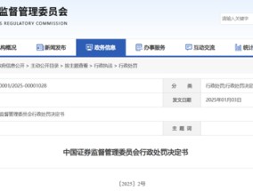 重罚！众华所及4名签字会计师被罚没超2100万！