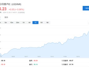 贸易逆差扩大、资本流动疲软，印度卢比汇率跌至历史新低