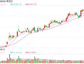 科技权重股持续下挫 寒武纪跌近10%