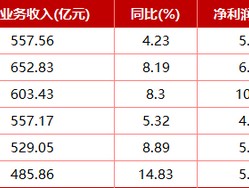 发债60亿背后 财险“五阿哥”或遭遇“中年危机”？！