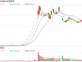 14连板！热门重组概念股大反转！公司股票可能被实施退市风险警示