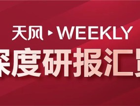 天风Weekly · 深度研报汇览·20250104