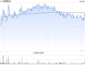 中国移动：毕马威华振指派叶韵接替谭亚红作为签字注册会计师