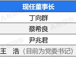 盘点2024：中信保诚已“补帅”、华泰集团在“补将”，80家险企高管调整收官！