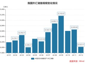 2024年末我国外储规模超3.2万亿美元 央行全年增持黄金142万盎司