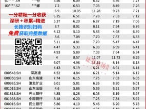 2025年投资策略：红利为盾，科技为矛