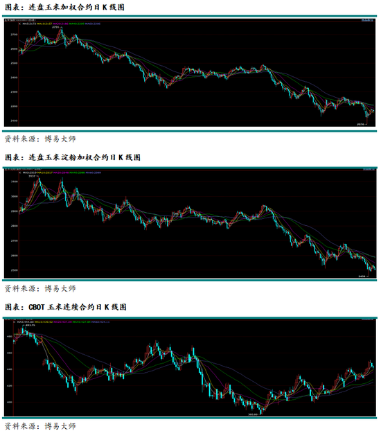 新湖农产（玉米）2025年年报：守云开待月明