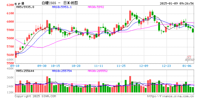 光大期货：1月9日软商品日报