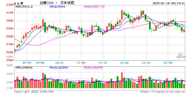 光大期货：1月10日软商品日报