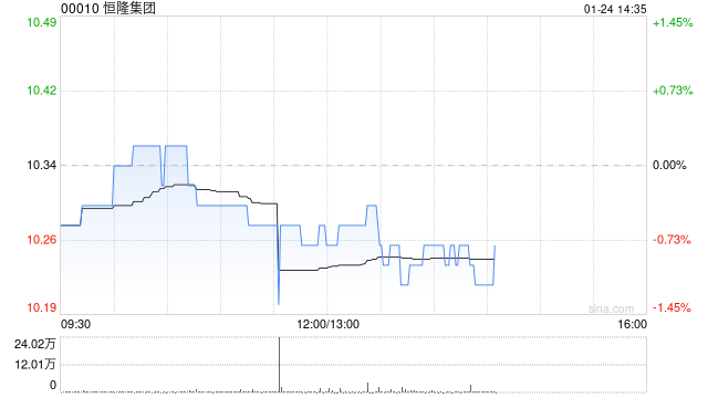 恒隆集团发布2024年度全年业绩 股东应占纯利16.13亿港元同比减少42.62%