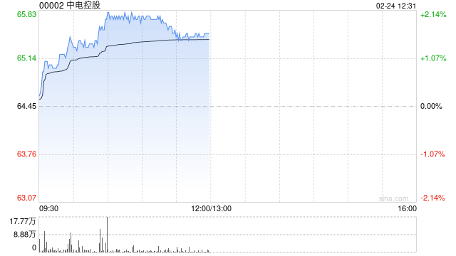 中电控股公布2024年业绩 股东应占溢利117.42亿港元同比增长76.44%